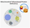 نقص پروتئین سه کاره  میتوکندریایی (Trifunctional protein deficiency, TFP)